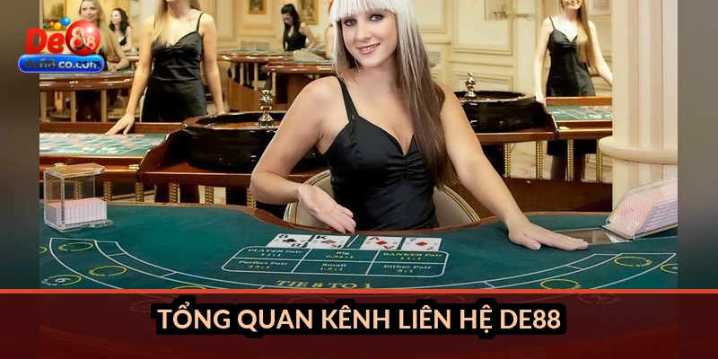 Tổng quan kênh liên hệ DE88
